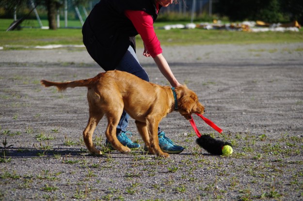 Konkurranselydighetskurs_087 (2)